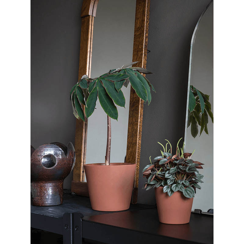 Ceramic Inez Peacan Brown