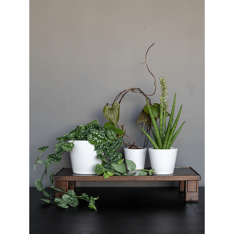 Ceramic Inez Vanilla White