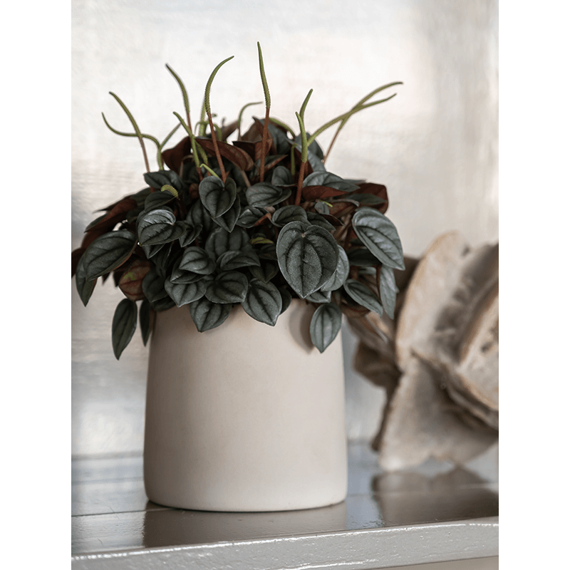 Ceramic Sofia Funghi Beige