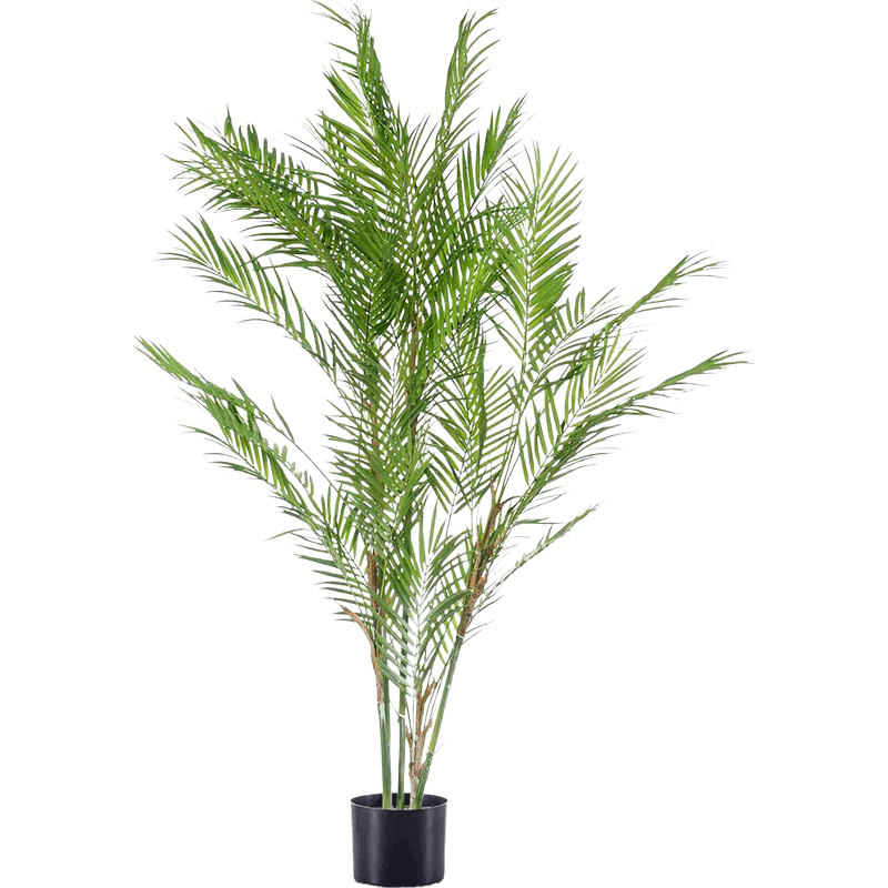 Chamaedorea - kunstplant