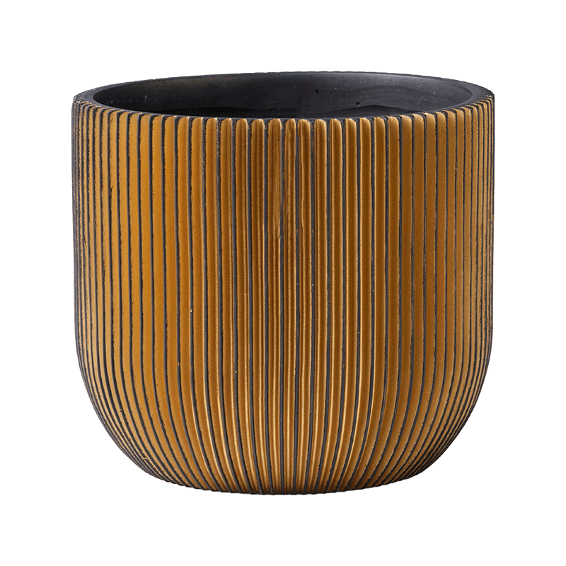 Chamaedorea metallica in Capi Nature Groove Bol Zwart Goud