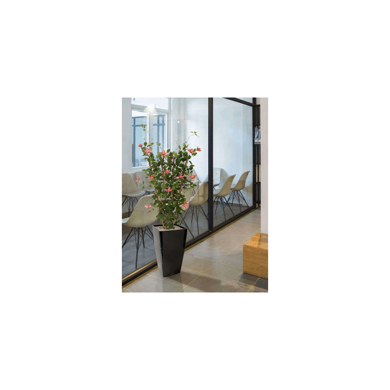 Clematis op rek - kunstplant