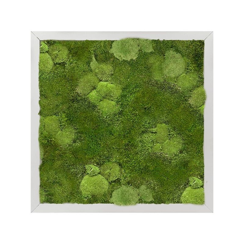 Mos Mix 1 Aluminium Schilderij Vierkant