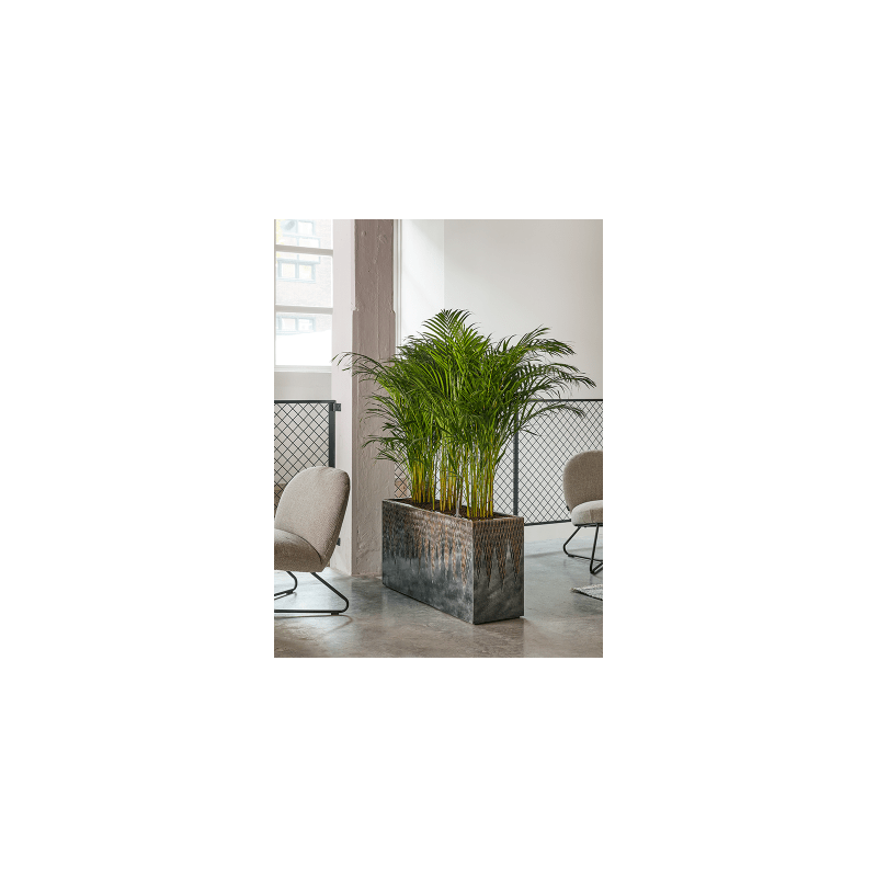 Luxe Lite Universe Comet Rectangle