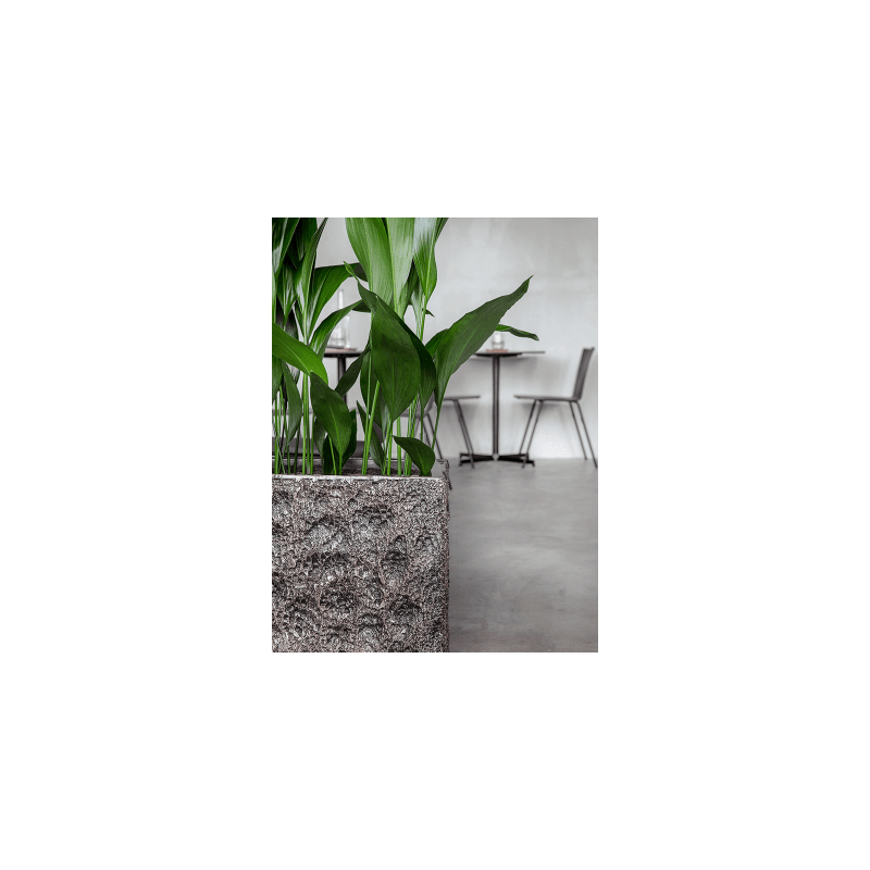 Luxe Lite Universe Moon  Rectangle
