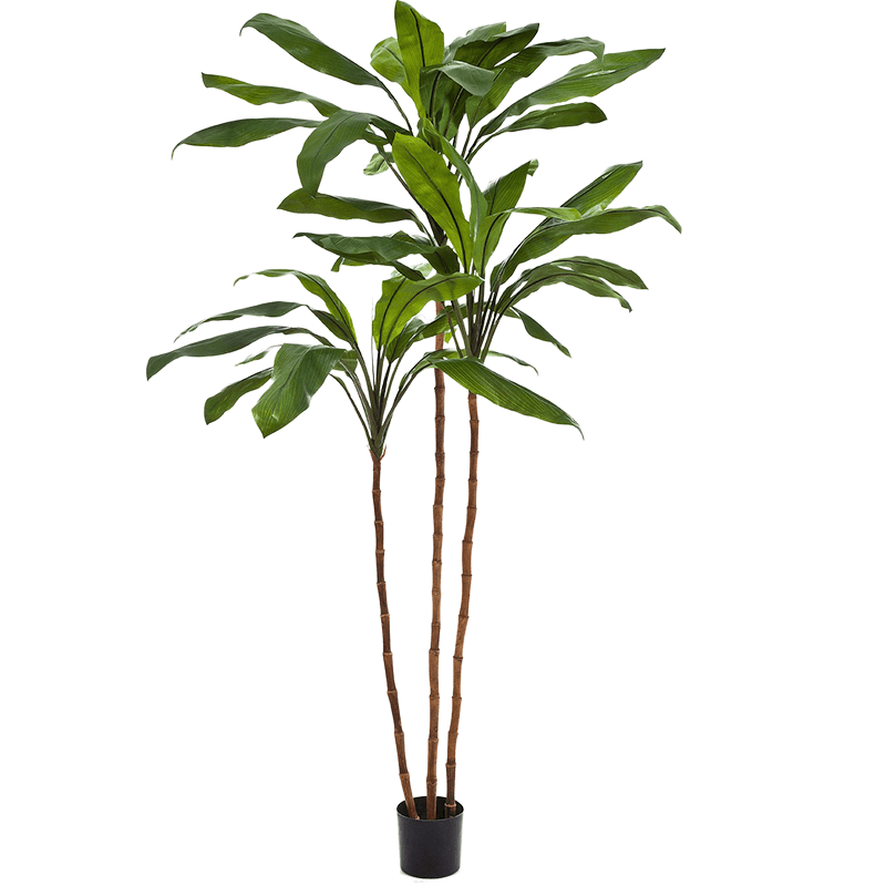 Cordyline Fruticosa Tree - kunstplant