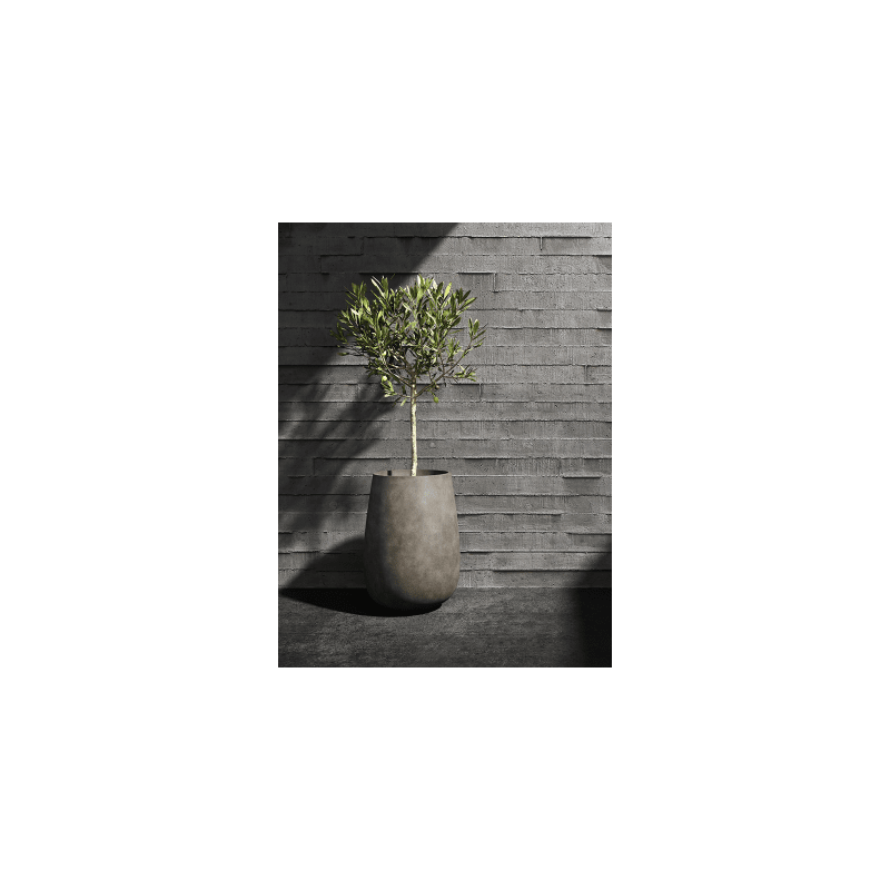 Cosapots Mondo High River Stone