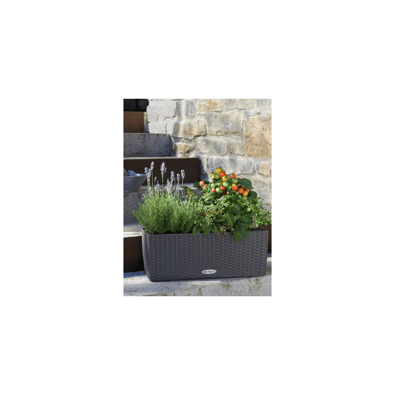 Lechuza Balconera Cottage Antraciet