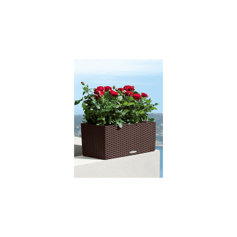 Lechuza Balconera Cottage Bruin