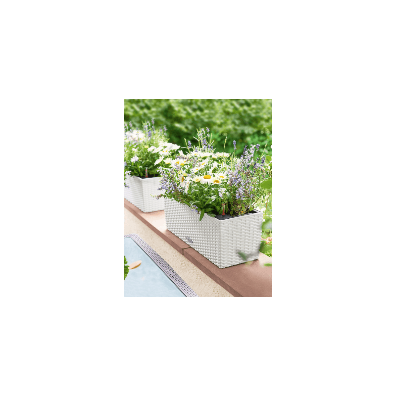 Lechuza Balconera Cottage Wit