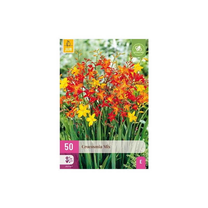 Crocosmia Mix - 50 stuks