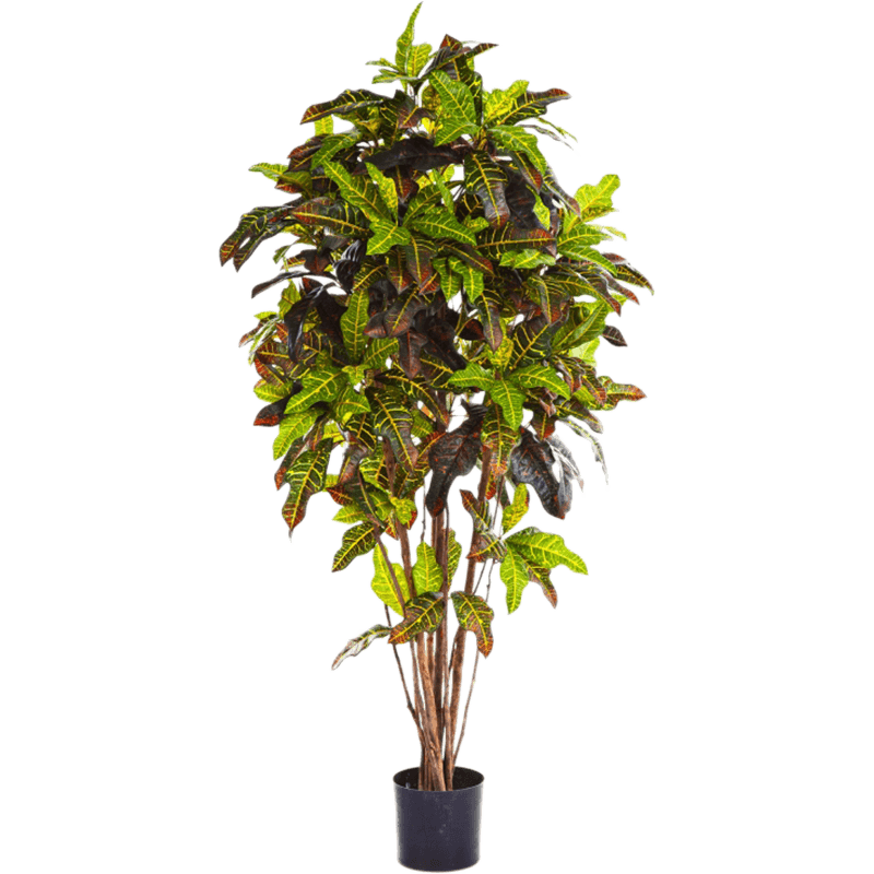 Croton vertakt - kunstplant
