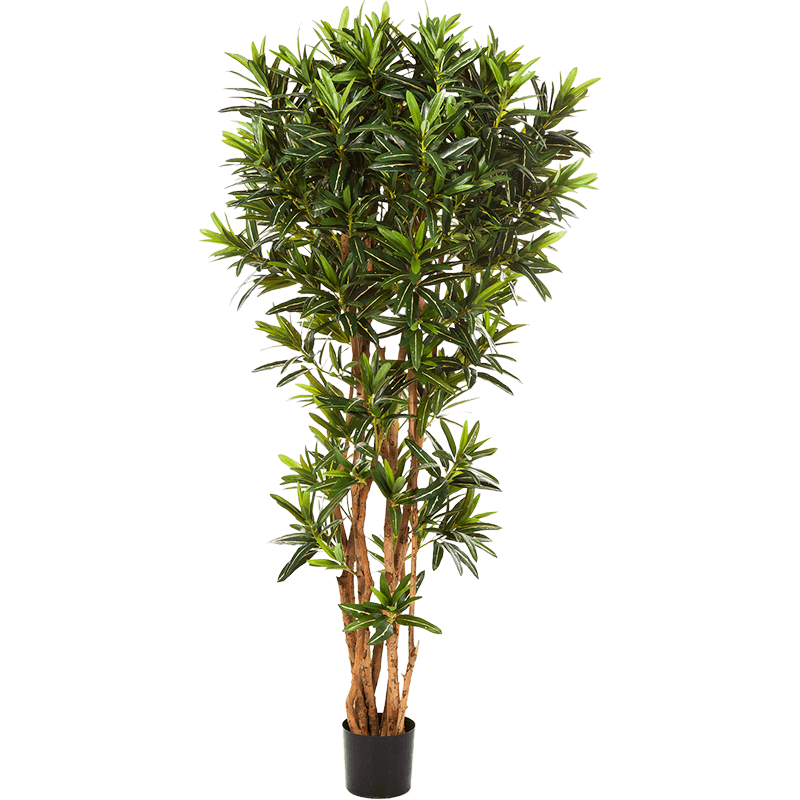 Croton Goldfinger Reflexa - kunstplant