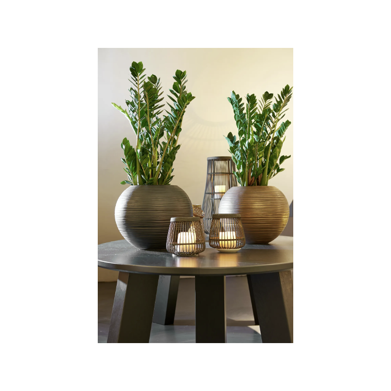 Curved Globe Bronze