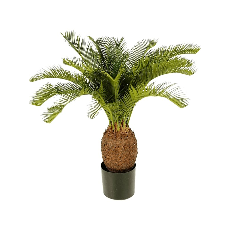 Cycas - kunstplant