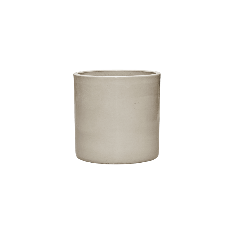 Alocasia Calidora in Cylinder Ceramic Crème - kunstplant