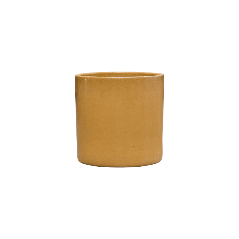 Alocasia Calidora in Cylinder Ceramic Honey - kunstplant