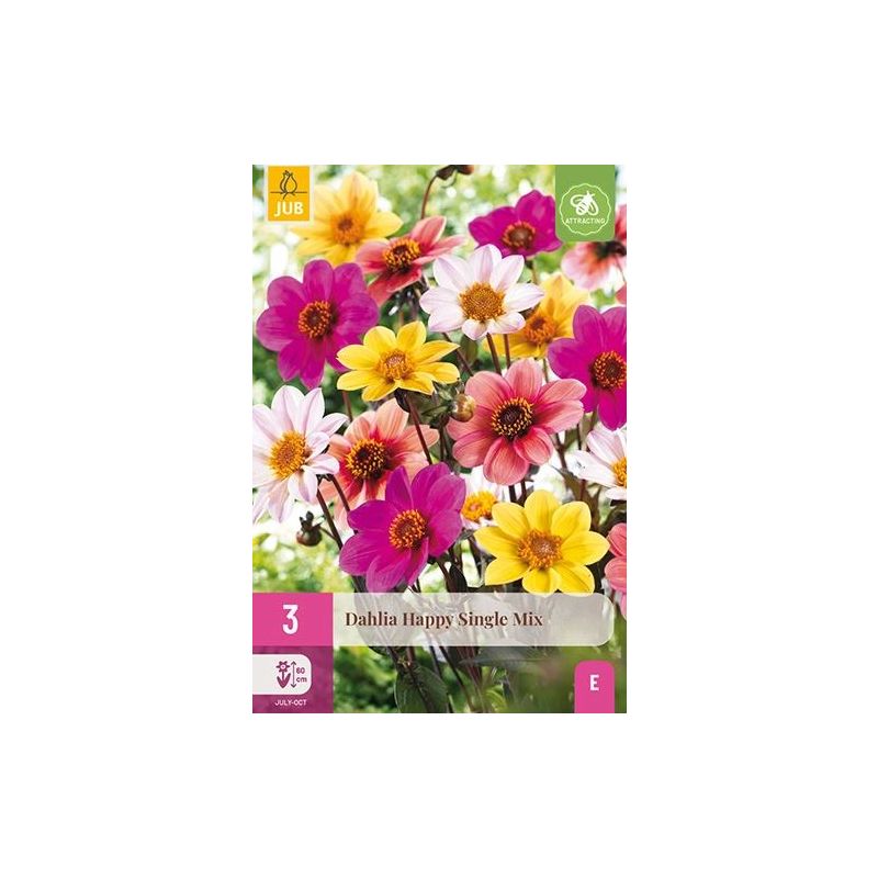 Dahlia Happy Single Mix - 3 stuks
