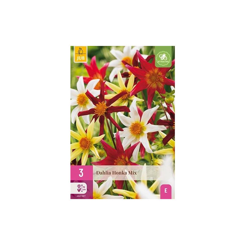 Dahlia Honka Mix - 3 stuks