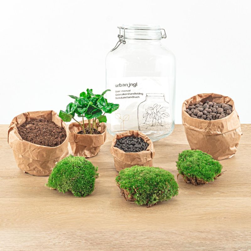 DIY Terrarium Jar Coffea