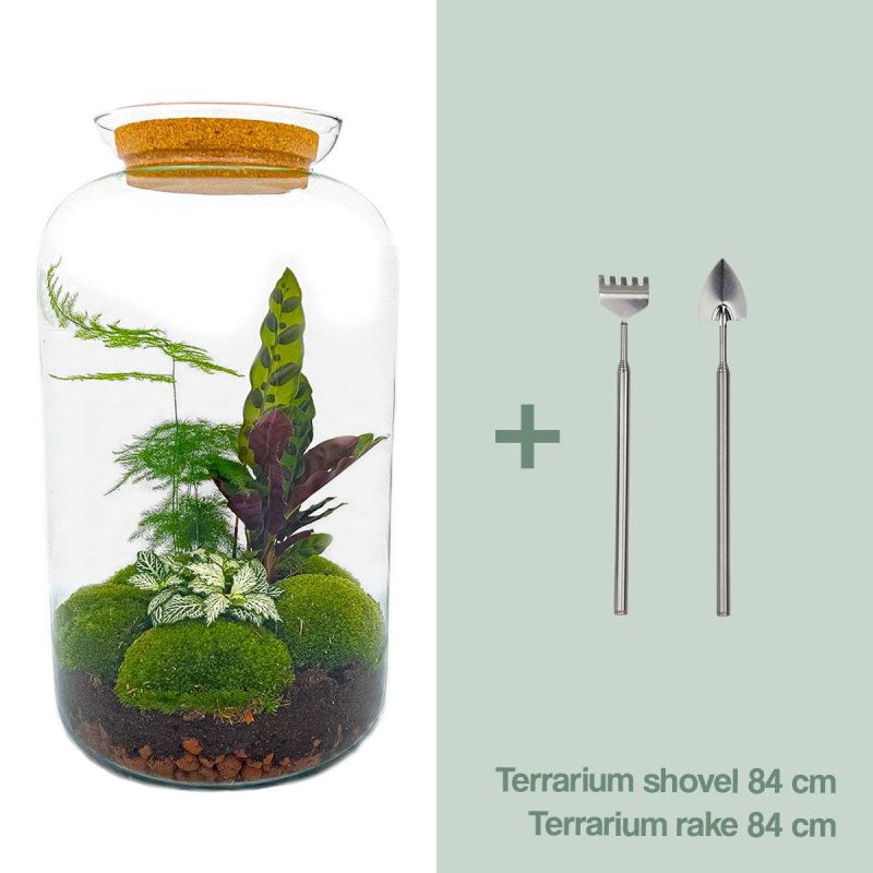 DIY Terrarium Asparagus + tools