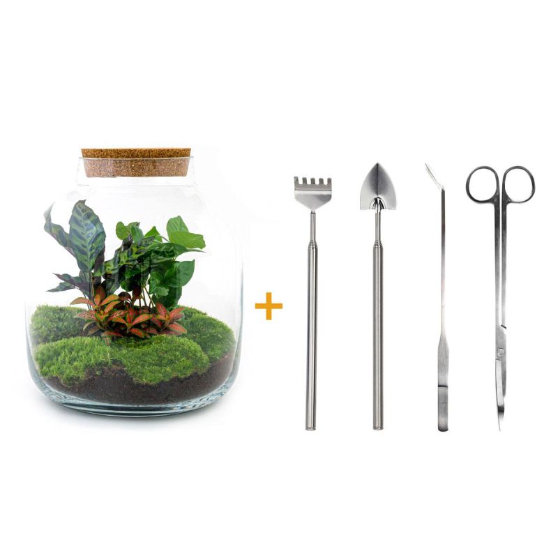 DIY Terrarium Botanical + tools