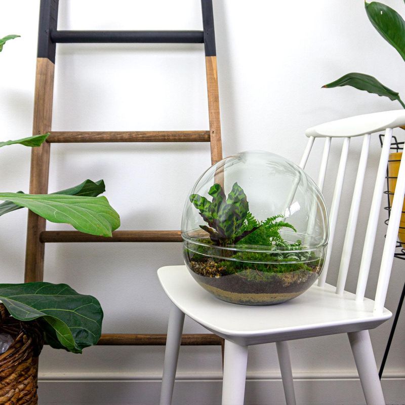 DIY Terrarium Dome Varen