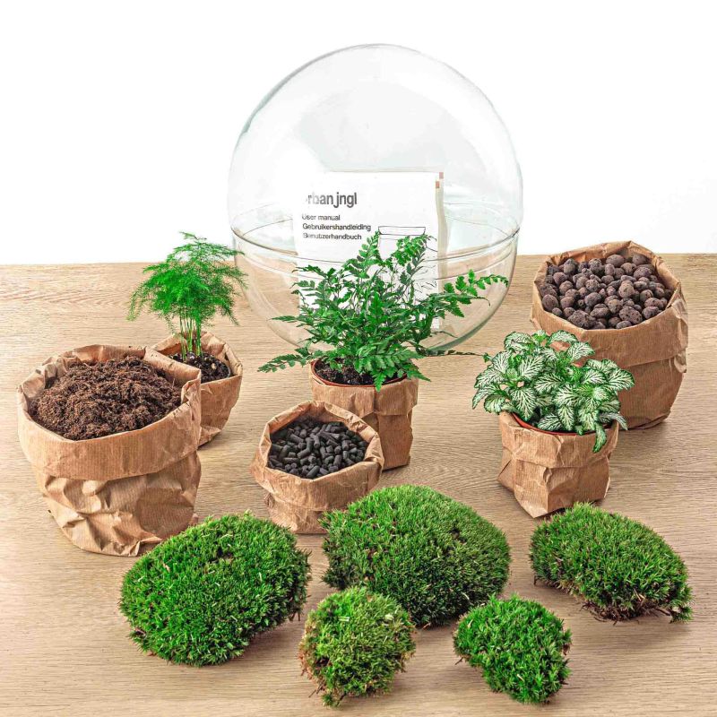 DIY Terrarium Dome Varen