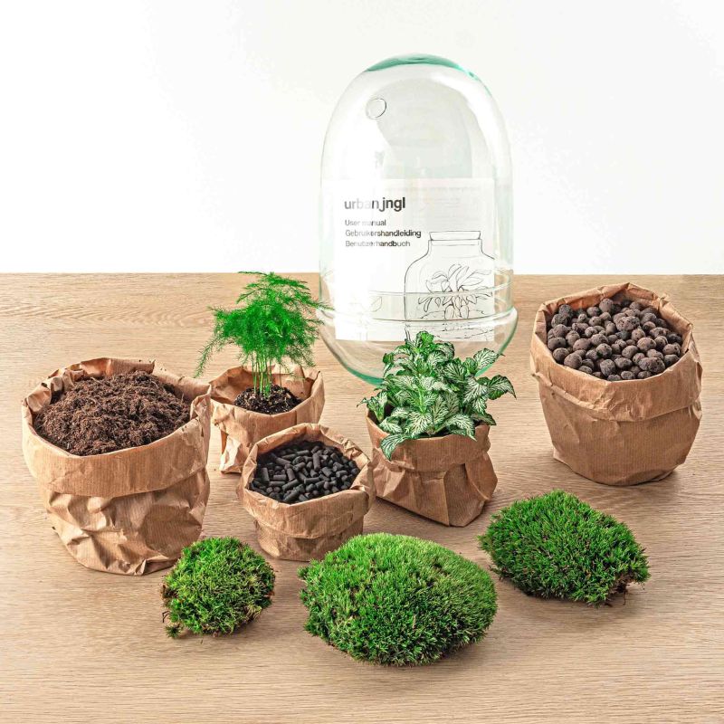 DIY Terrarium Egg Asparagus