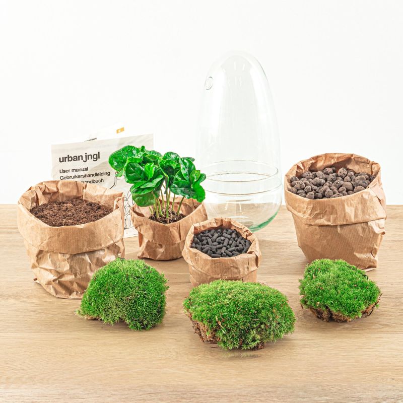 DIY Terrarium Egg Coffea