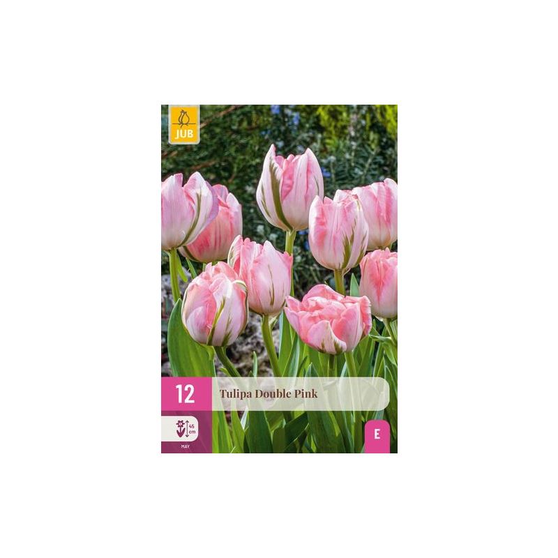 Tulipa Double Pink - 12 stuks