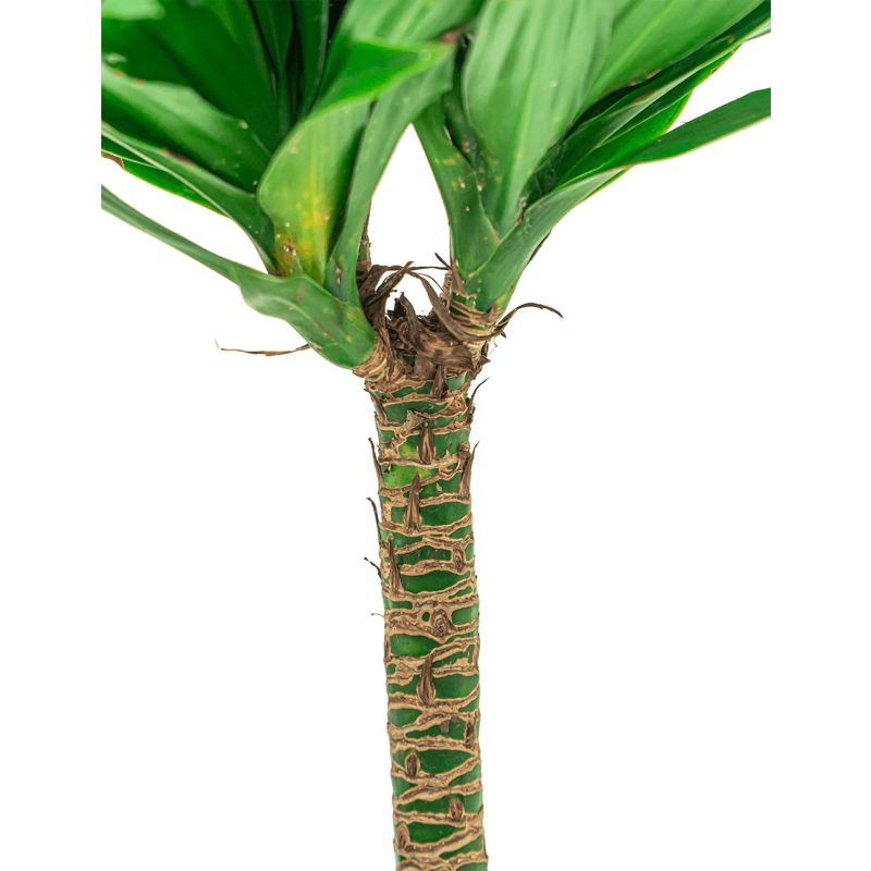 Dracaena Green Jewel in Vibes wit