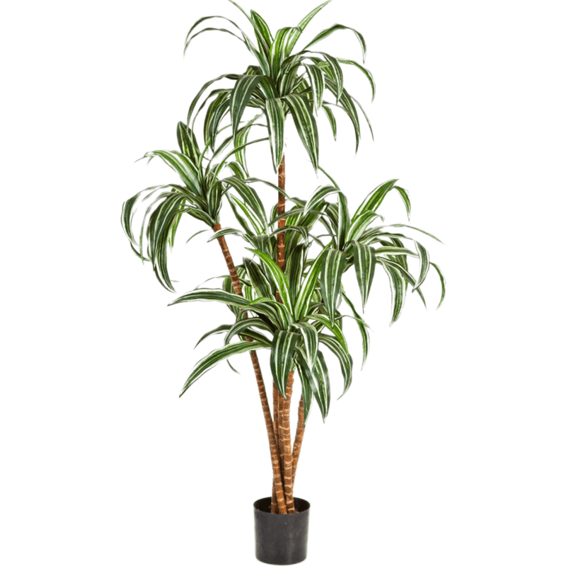 Dracaena Large - kunstplant