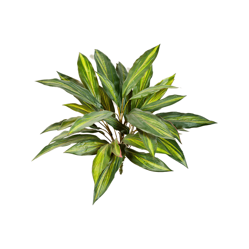 Dracaena - kunstplant