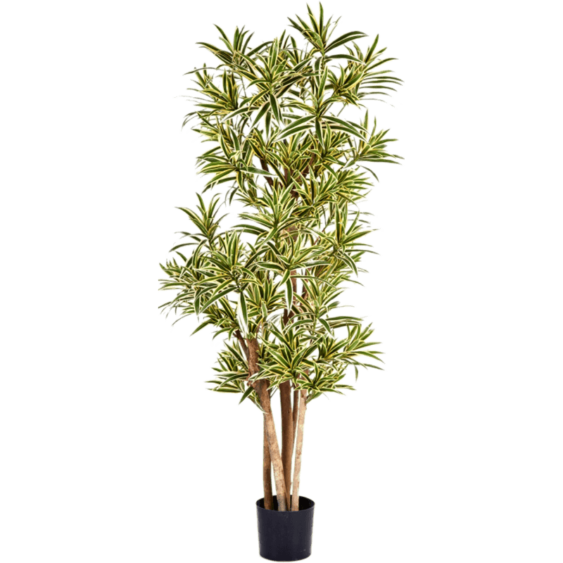 Dracaena Reflexa Yellow - kunstplant