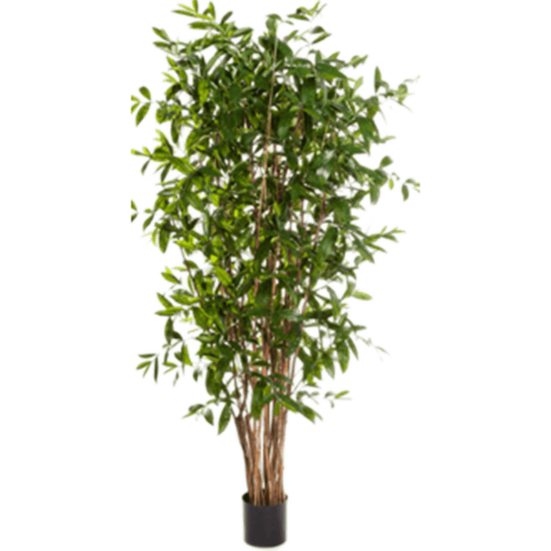 Dracaena Surculosa Tree - kunstplant