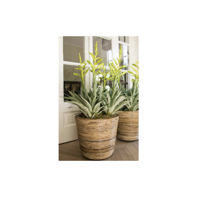 Drypot Rattan Stripe Round Grey