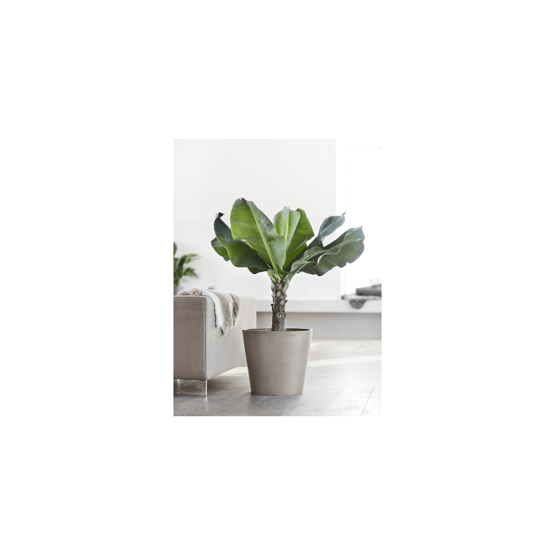Ecopots Amsterdam taupe