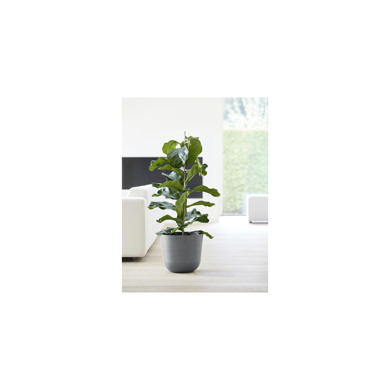 Ecopots Oslo grijs