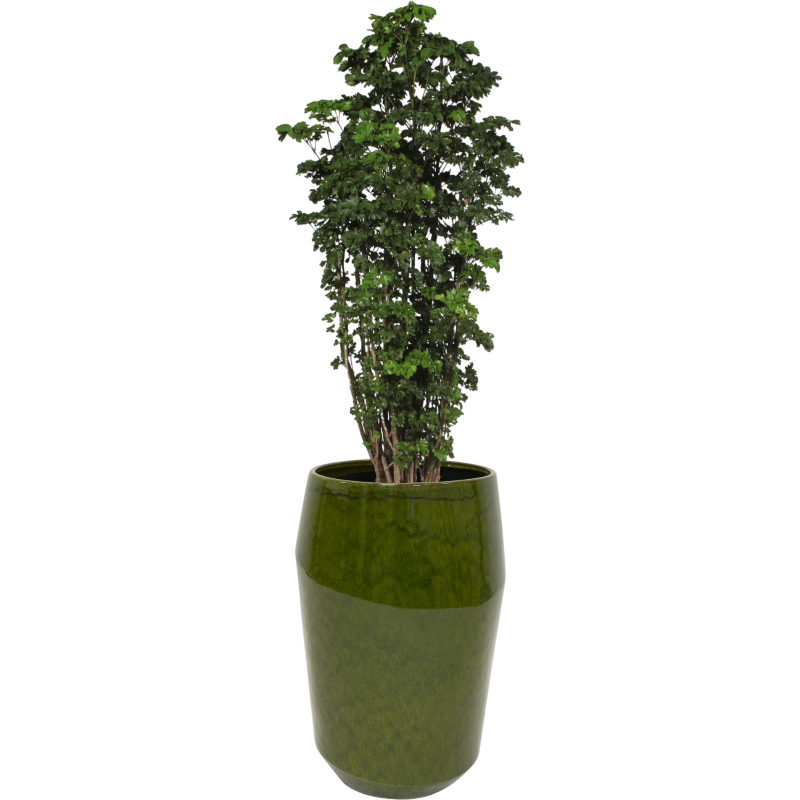 Eddy Vase Pear
