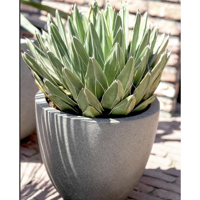 Grigio Egg Concrete Grijs