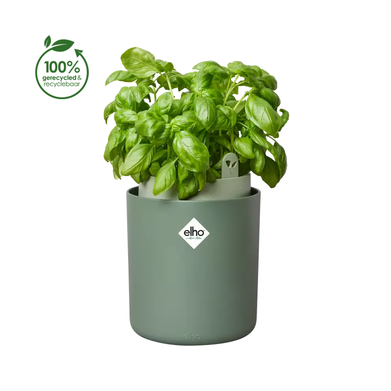 Elho Bouncy Basil Blad Groen