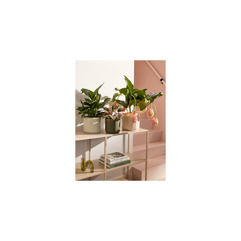 Elho Facet Almond Pink