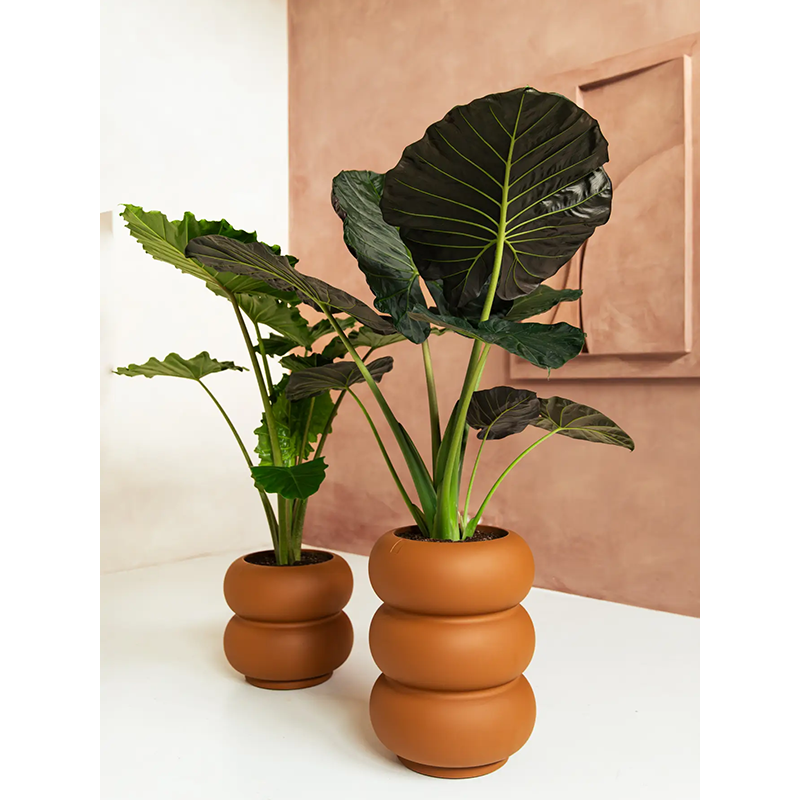 Elho Premium Amber Roll High Karamel