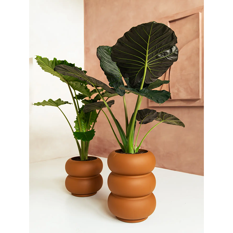 Elho Premium Amber Roll Low Karamel