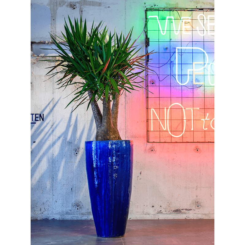 Emperador Partner Vase Blauw