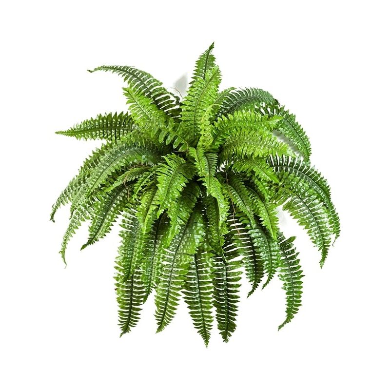 Boston Fern - kunstplant