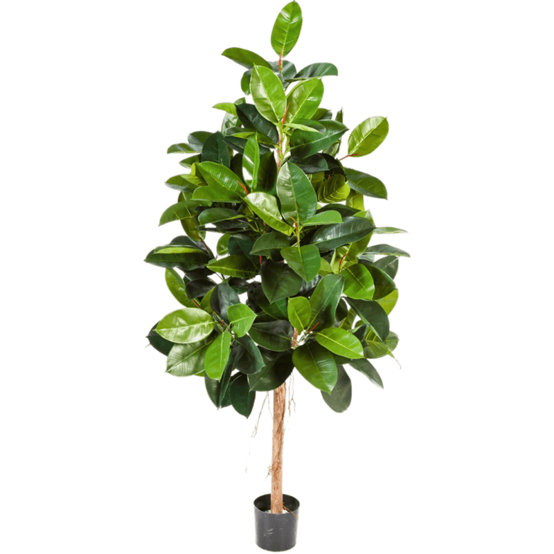 Ficus Elastica - kunstplant