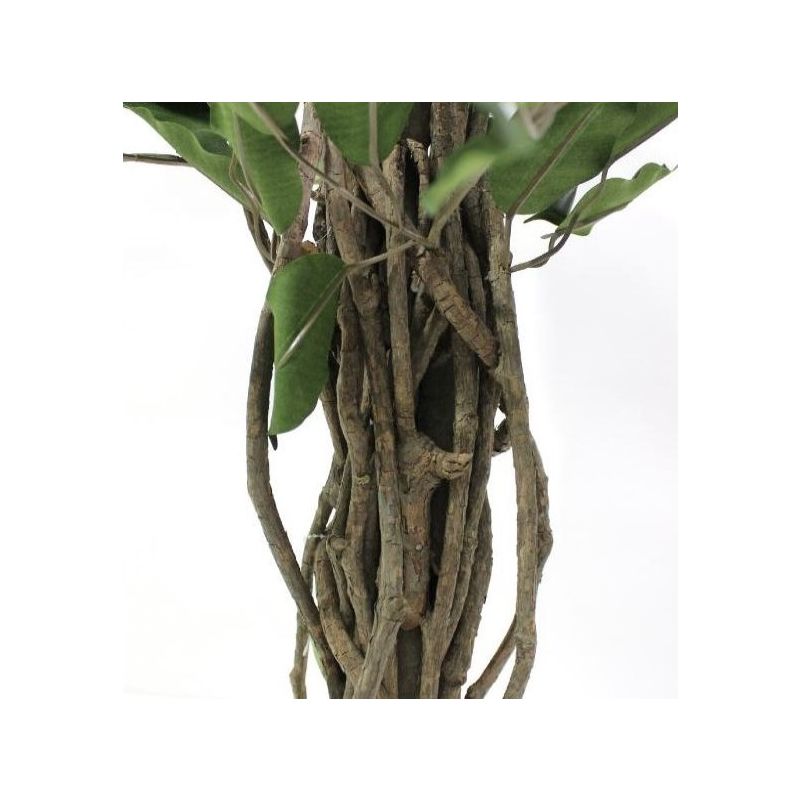 Ficus Liana - kunstplant