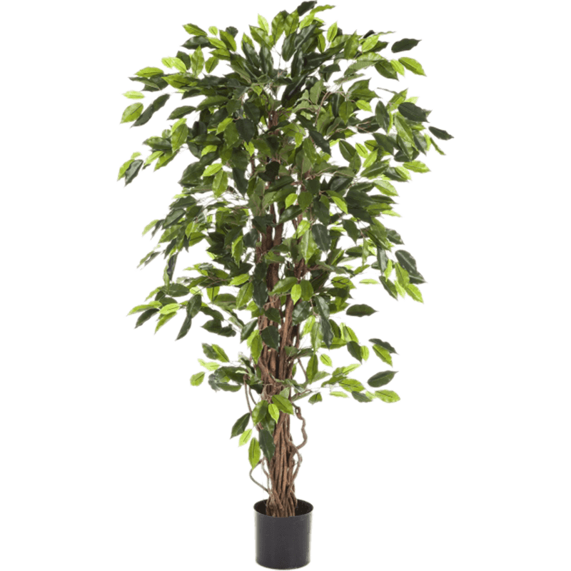 Ficus Liana - kunstplant